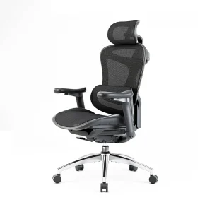 Ghế công thái học Sihoo Doro C300
